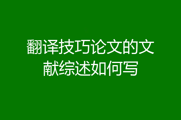 翻译技巧论文的文献综述如何写