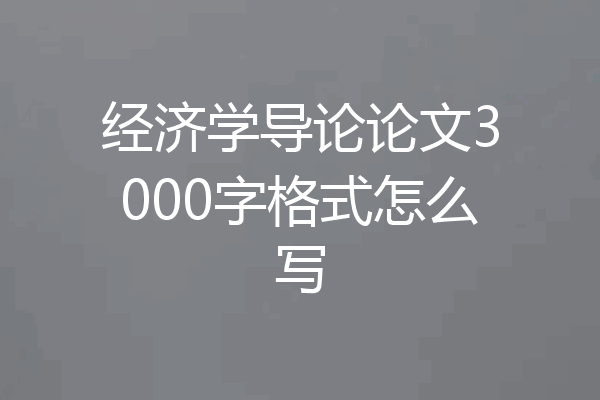 经济学导论论文3000字格式怎么写