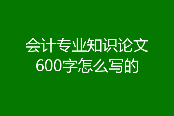 会计专业知识论文600字怎么写的