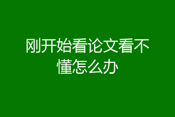 刚开始看论文看不懂怎么办