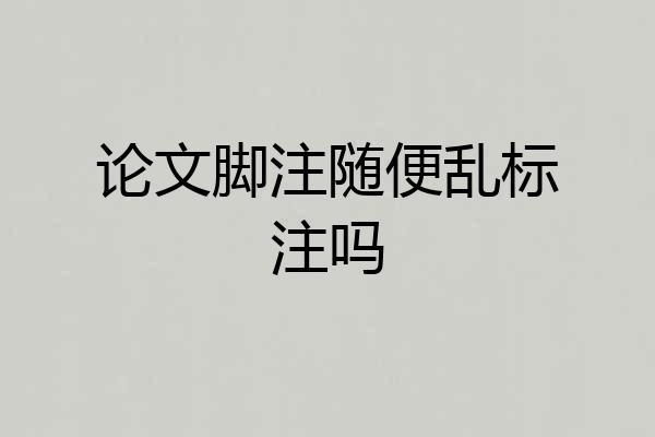 论文脚注随便乱标注吗