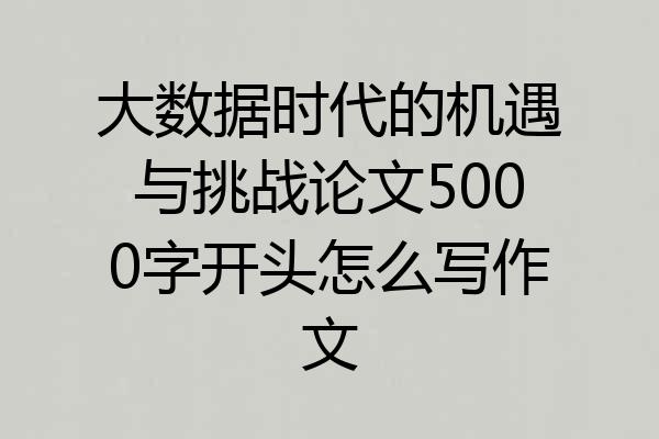 大数据时代的机遇与挑战论文5000字开头怎么写作文
