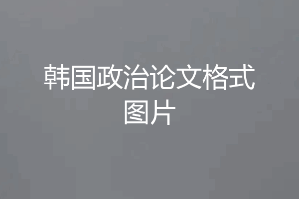 韩国政治论文格式图片