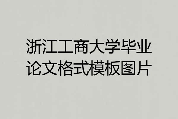 浙江工商大学毕业论文格式模板图片