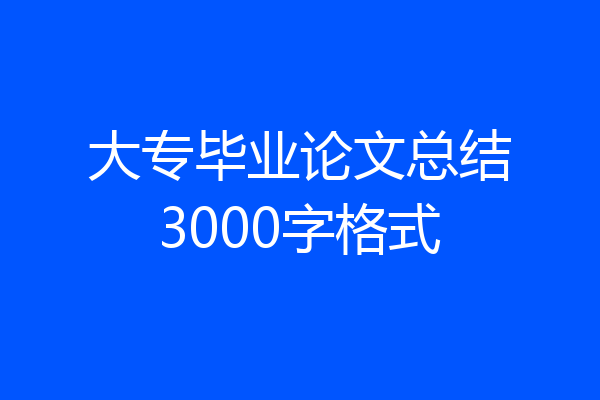 大专毕业论文总结3000字格式