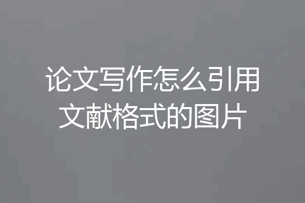 论文写作怎么引用文献格式的图片