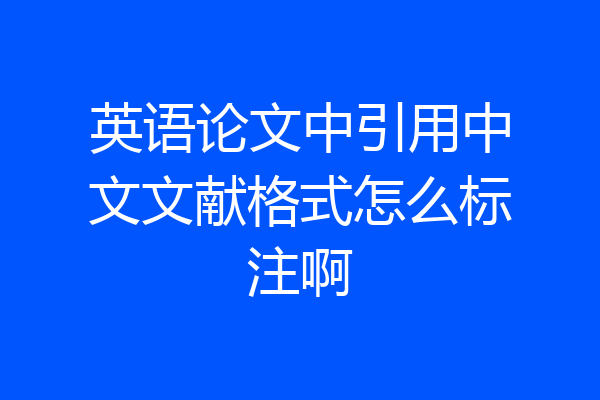 英语论文中引用中文文献格式怎么标注啊