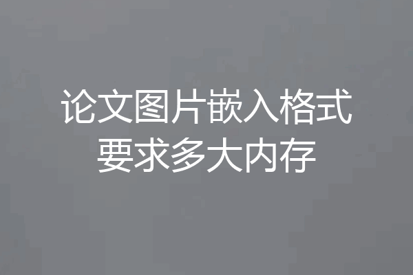 论文图片嵌入格式要求多大内存