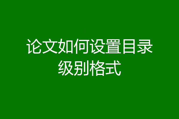 论文如何设置目录级别格式