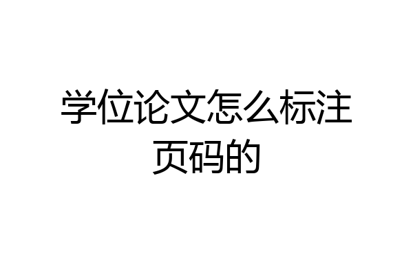 学位论文怎么标注页码的