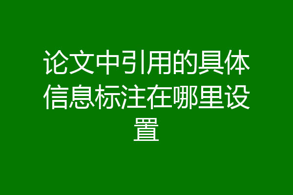 论文中引用的具体信息标注在哪里设置