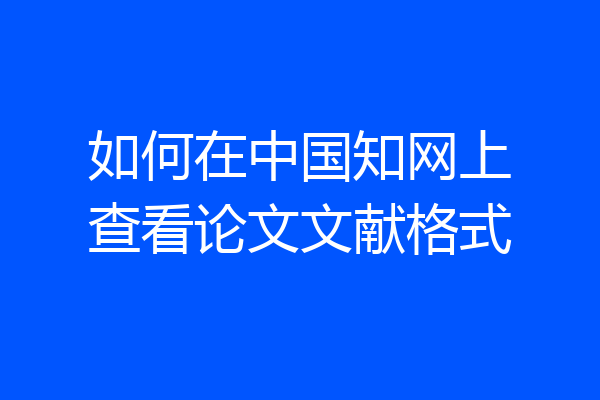 如何在中国知网上查看论文文献格式
