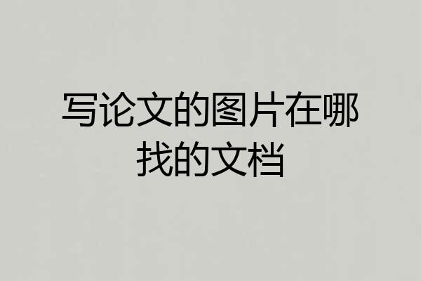 写论文的图片在哪找的文档