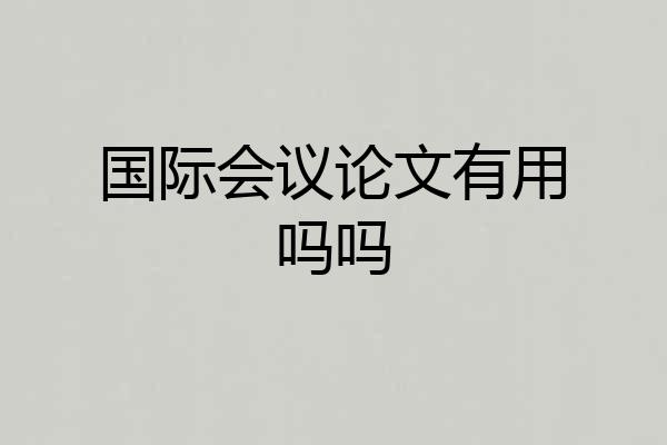 国际会议论文有用吗吗