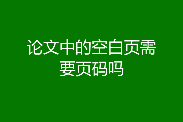 论文中的空白页需要页码吗