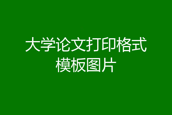 大学论文打印格式模板图片
