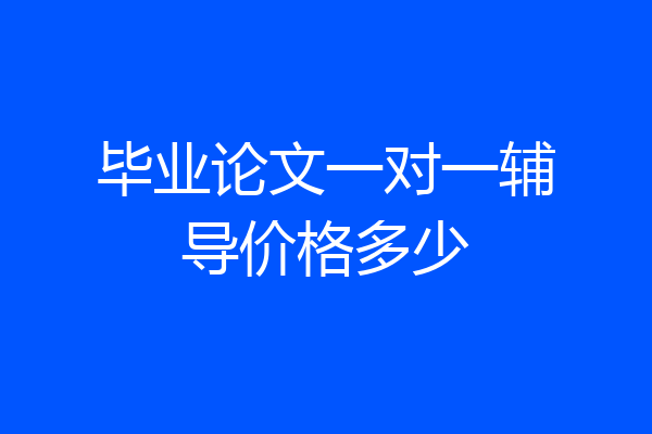 毕业论文一对一辅导价格多少