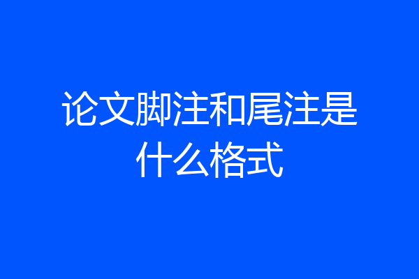 论文脚注和尾注是什么格式