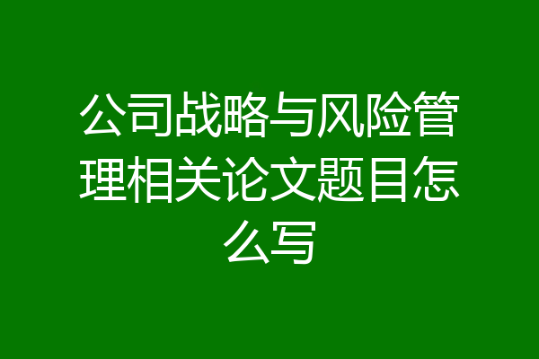 公司战略与风险管理相关论文题目怎么写