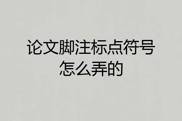论文脚注标点符号怎么弄的