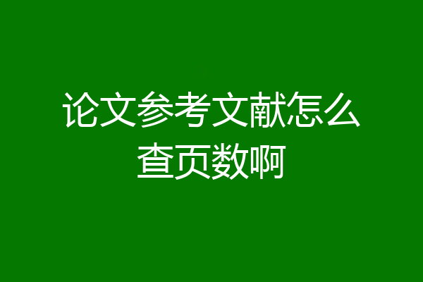 论文参考文献怎么查页数啊