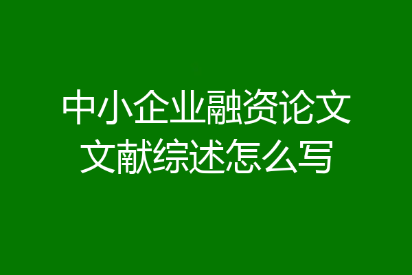 中小企业融资论文文献综述怎么写