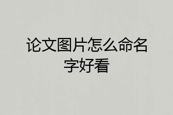论文图片怎么命名字好看