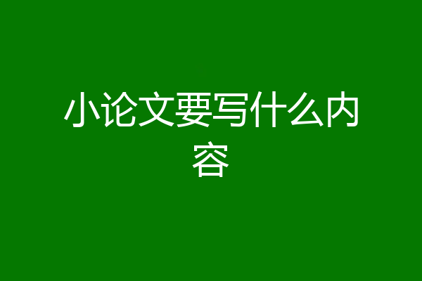 小论文要写什么内容