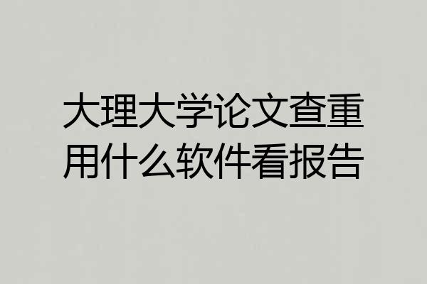 大理大学论文查重用什么软件看报告
