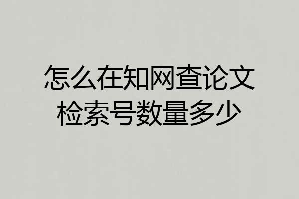 怎么在知网查论文检索号数量多少