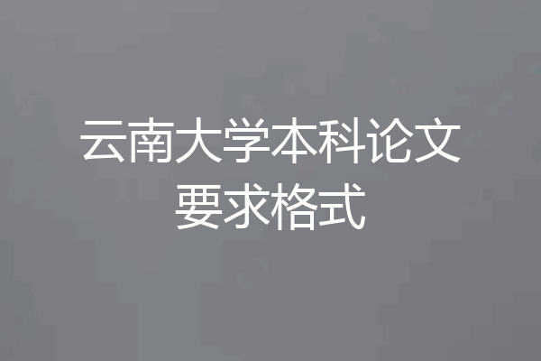 云南大学本科论文要求格式