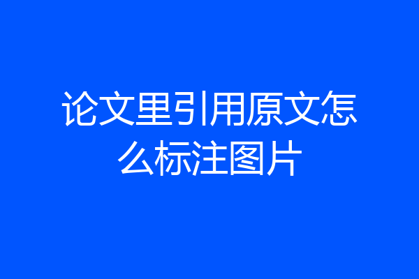 论文里引用原文怎么标注图片