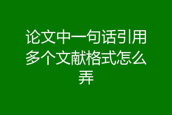 论文中一句话引用多个文献格式怎么弄