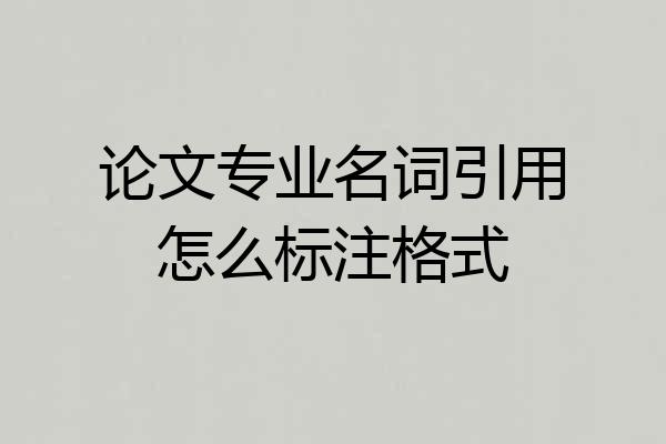 论文专业名词引用怎么标注格式
