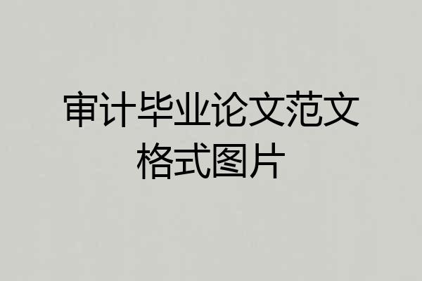 审计毕业论文范文格式图片