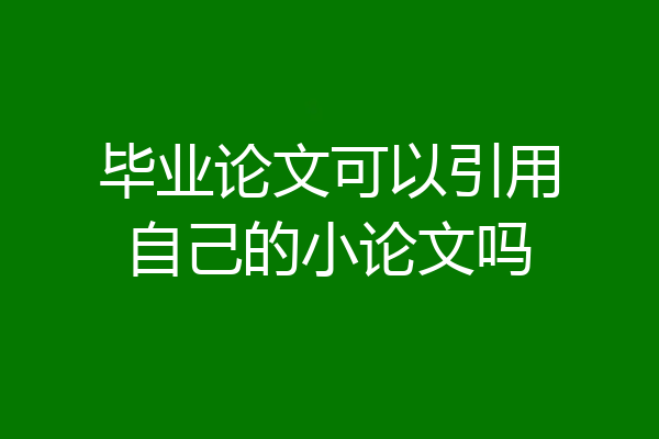 毕业论文可以引用自己的小论文吗
