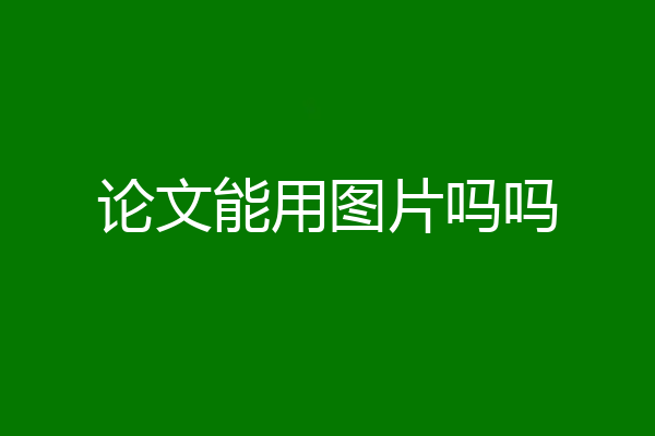 论文能用图片吗吗