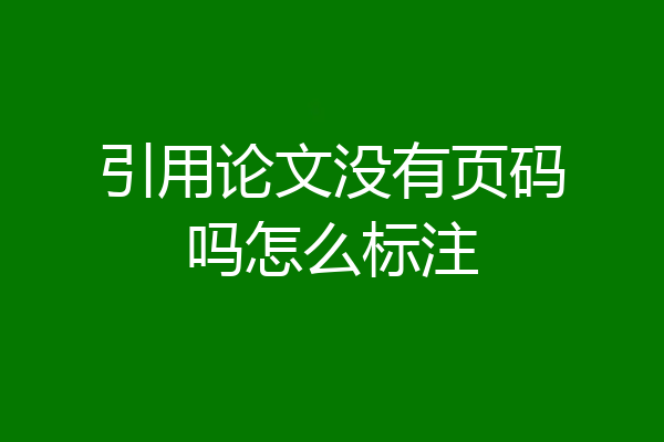 引用论文没有页码吗怎么标注