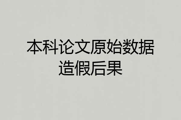 本科论文原始数据造假后果