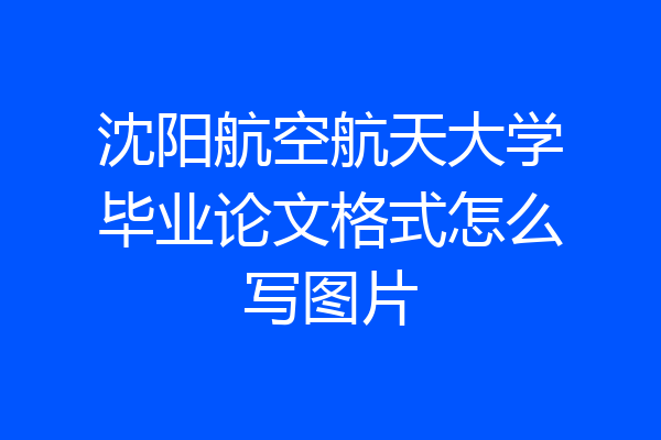 沈阳航空航天大学毕业论文格式怎么写图片