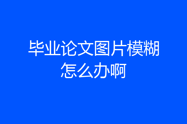 毕业论文图片模糊怎么办啊