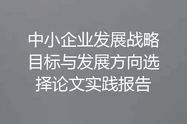中小企业发展战略目标与发展方向选择论文实践报告