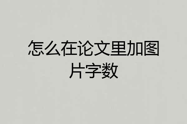 怎么在论文里加图片字数