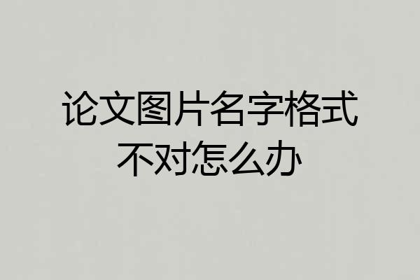 论文图片名字格式不对怎么办