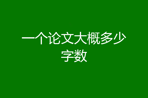 一个论文大概多少字数