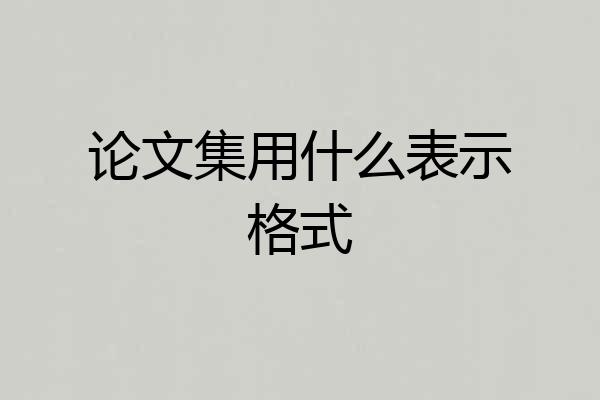 论文集用什么表示格式