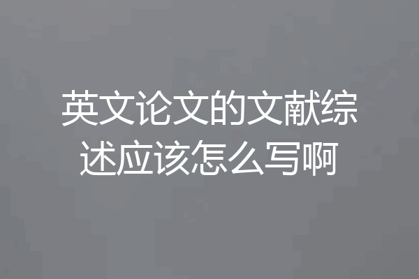 英文论文的文献综述应该怎么写啊