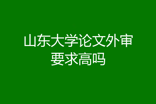山东大学论文外审要求高吗