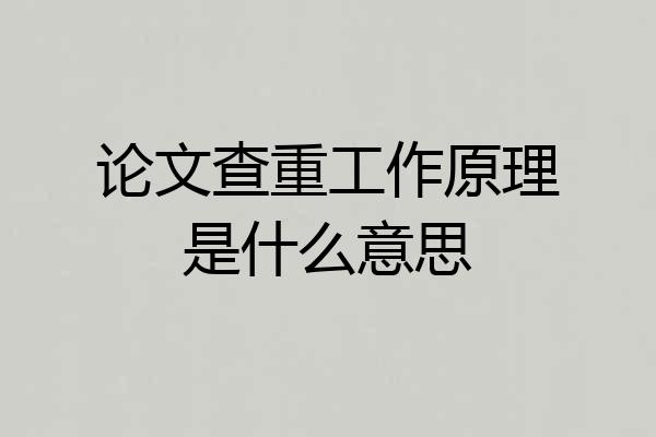 论文查重工作原理是什么意思