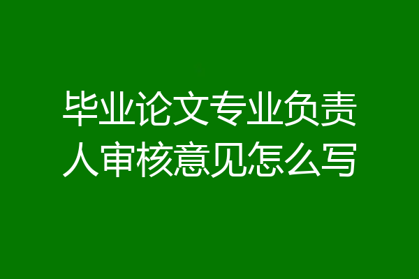 毕业论文专业负责人审核意见怎么写